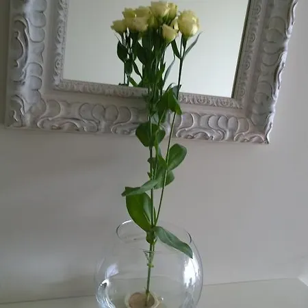 Perlo Apartamentai