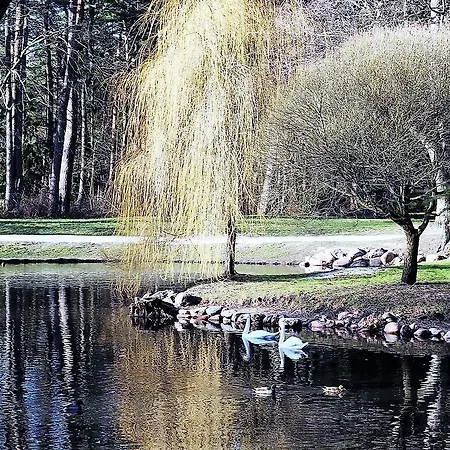 Daire Perlo Apartamentai *