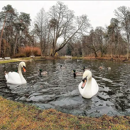 Daire Perlo Apartamentai Palanga