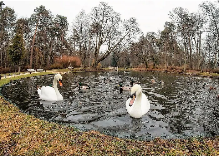 Апартаменти Perlo Apartamentai Паланга